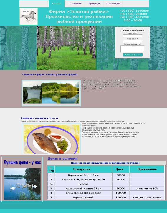 Vizit kartı sitesi tasarımı