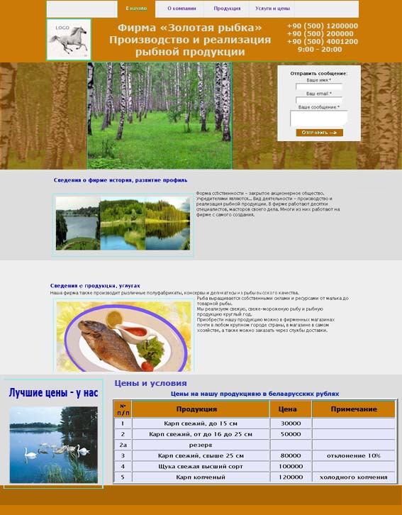 Vizit Websitesi tasarımı seçilmesi