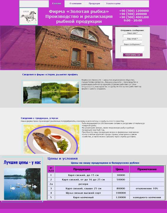Vizit Websitesi tasarımı seçilmesi